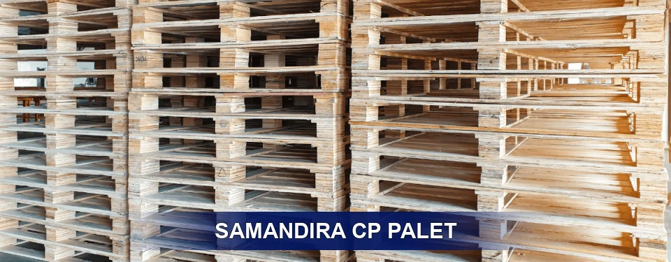 Samandıra Standart Tipler