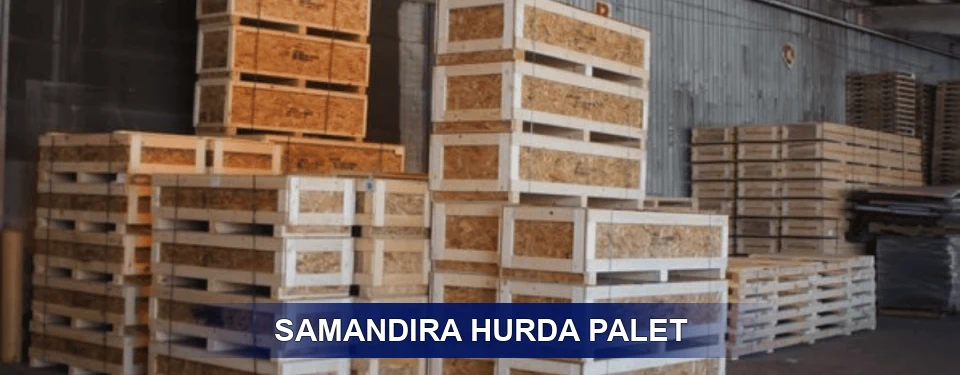 Samandıra Sınıflandırma